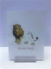 Minik Defteri Aslan Yogi